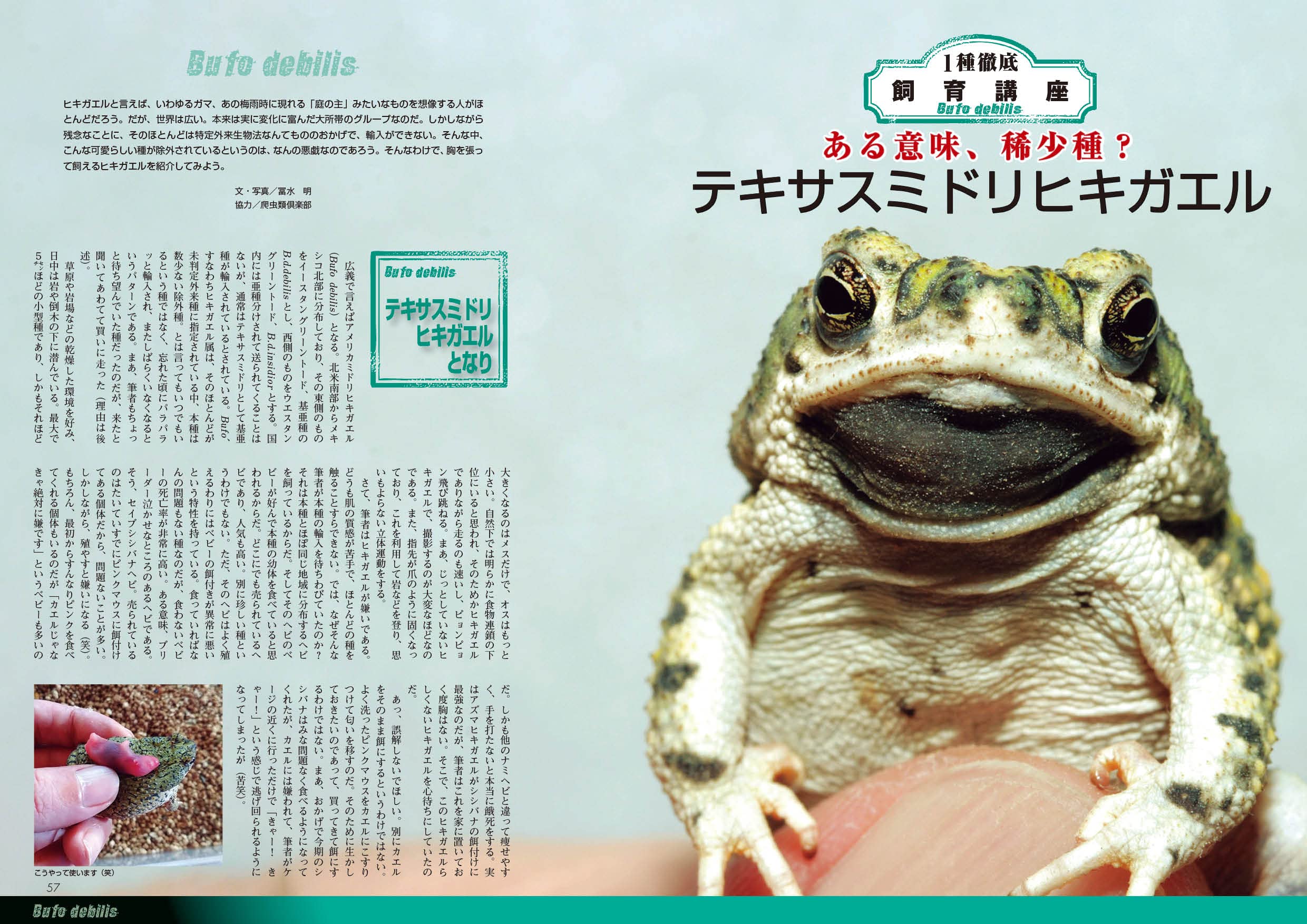 ビバガ 95号 2021年冬号
