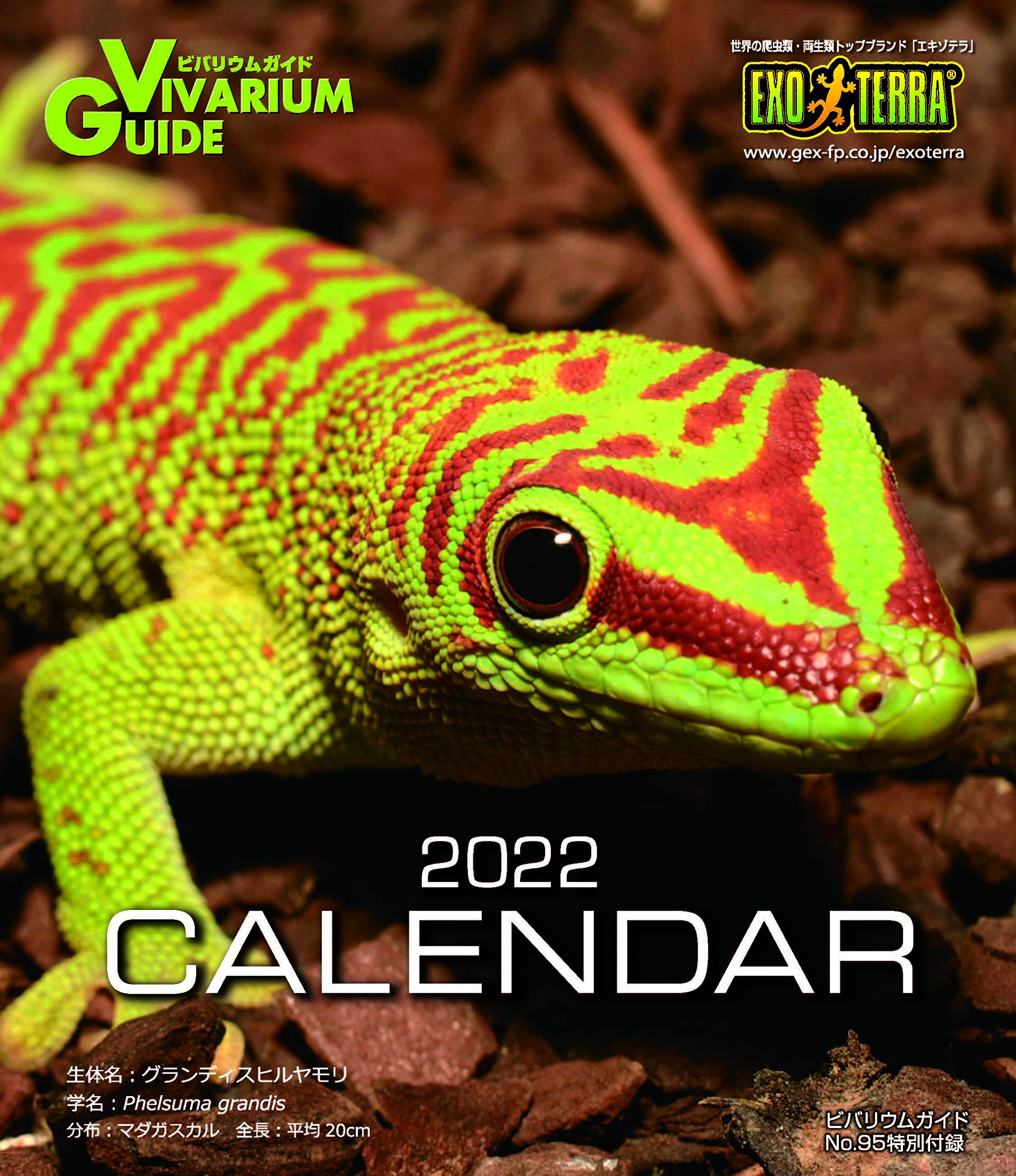 爬虫類　2022年カレンダー