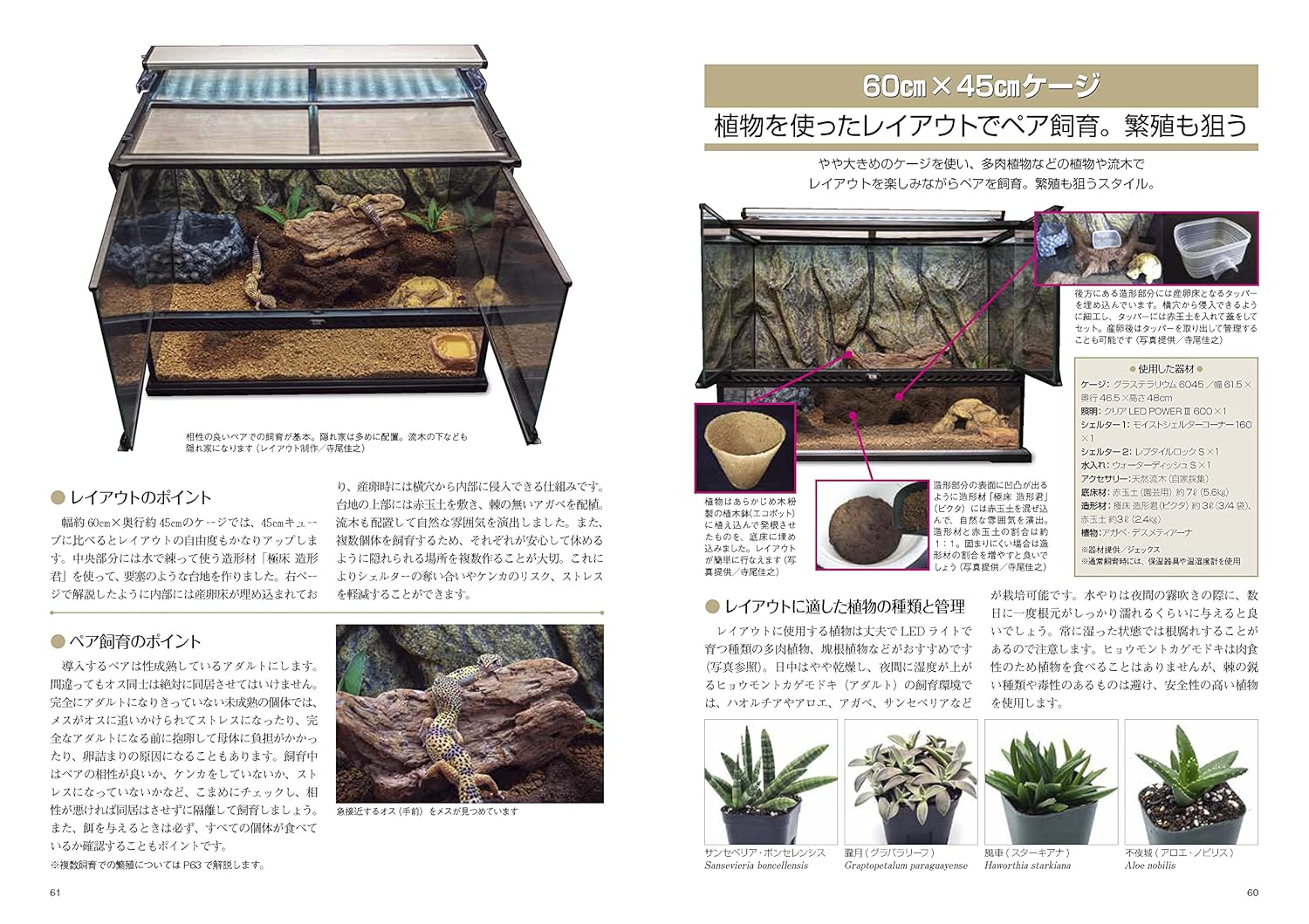 ヒョウモントカゲモドキと暮らす本 (アクアライフの本)