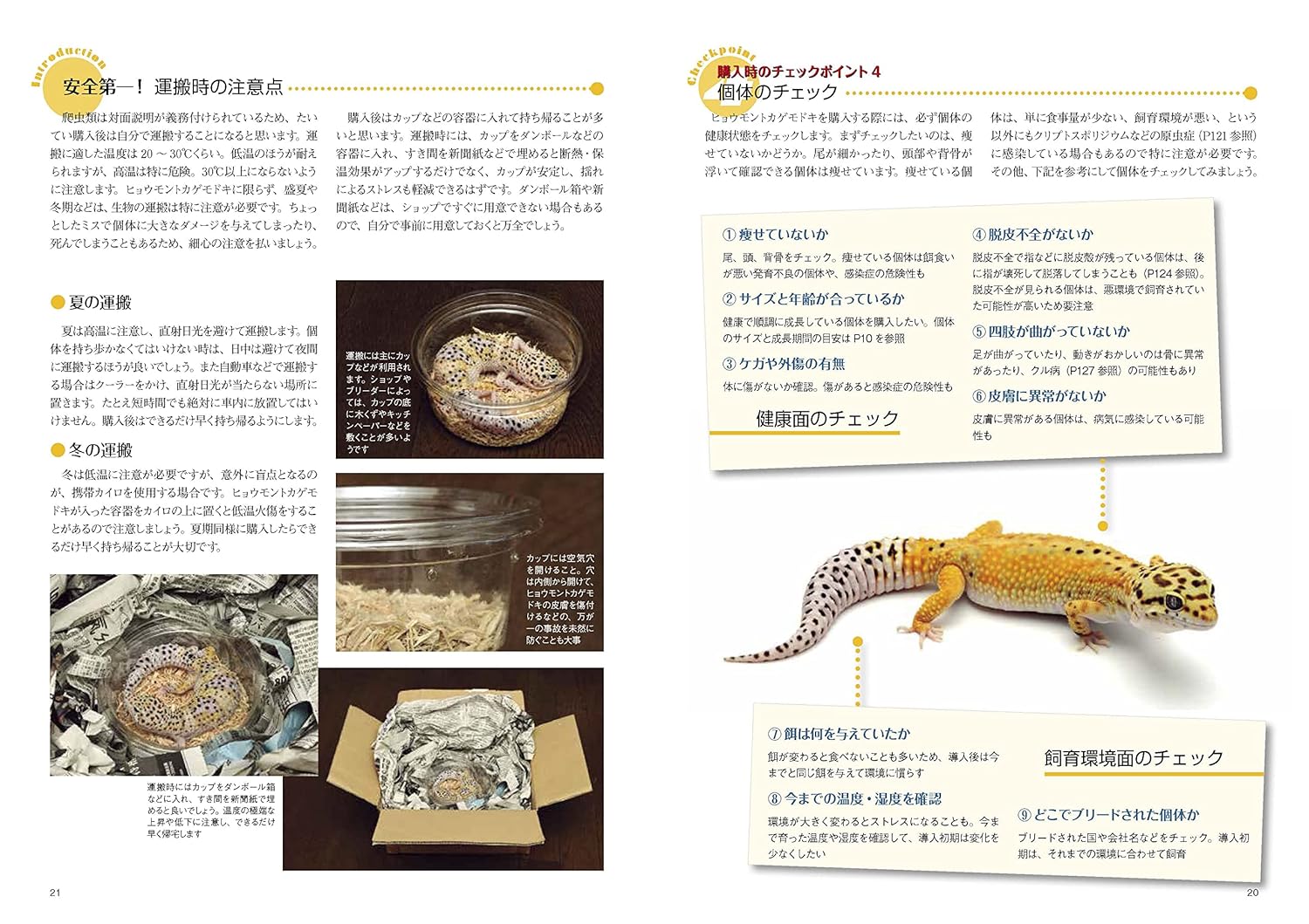 ヒョウモントカゲモドキと暮らす本 (アクアライフの本)　個体のチェック