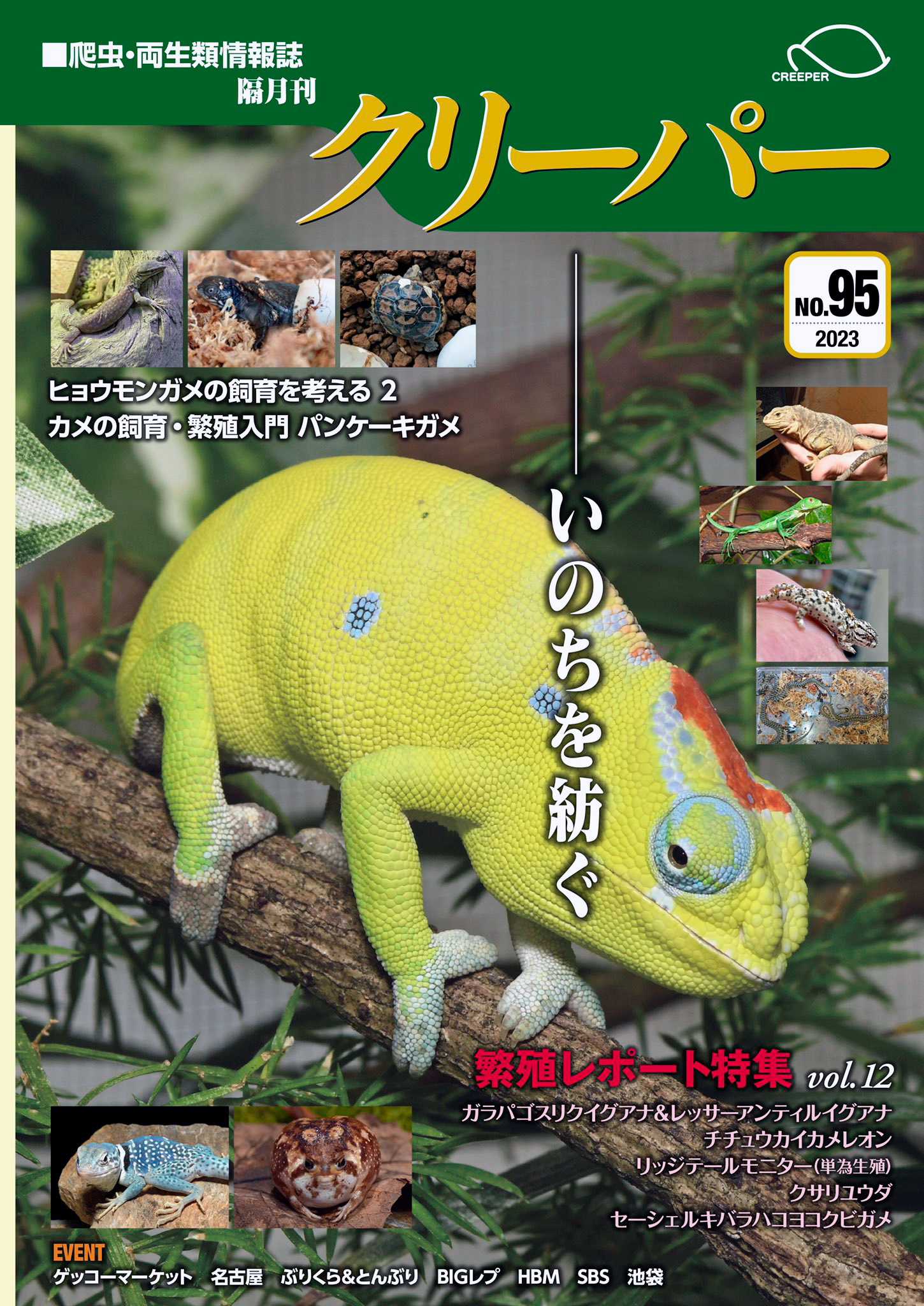 SALE/92%OFF】 爬虫 両生類情報誌隔月刊 クリーパー No.80 demo2
