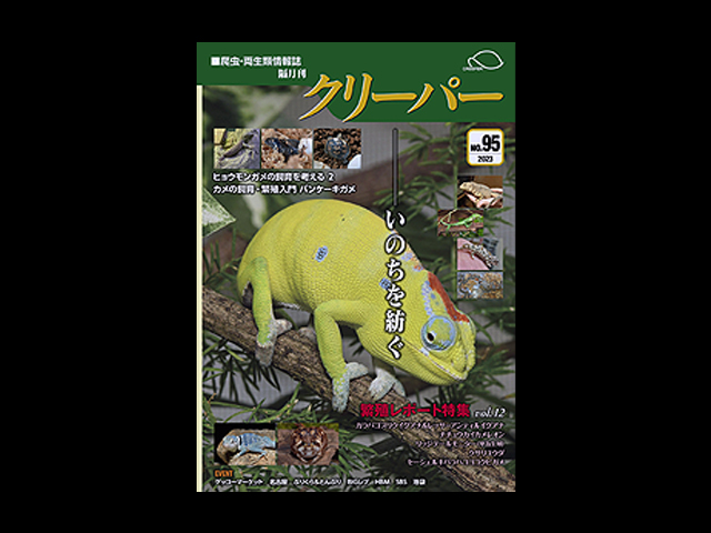 クリーパー(CREEPER) クリーパー社 販売 通販