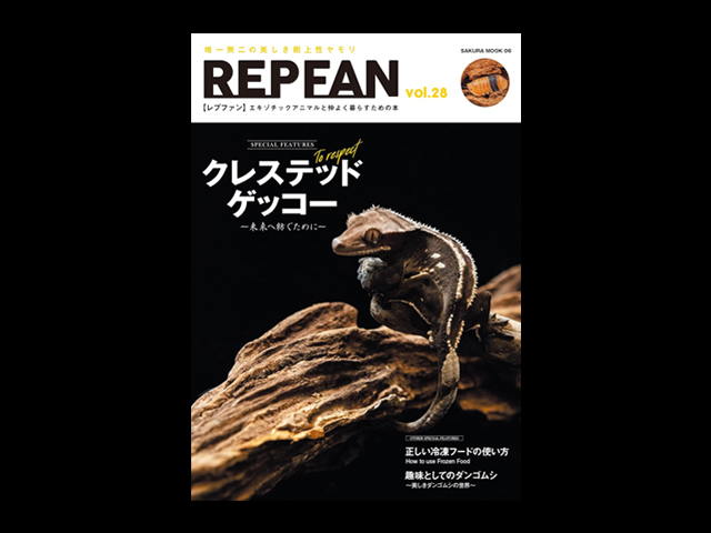 レプファン(REP FAN) 笠倉出版社 販売 通販