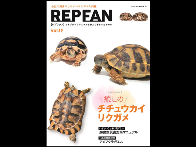 REP FAN レプファン Vol.19