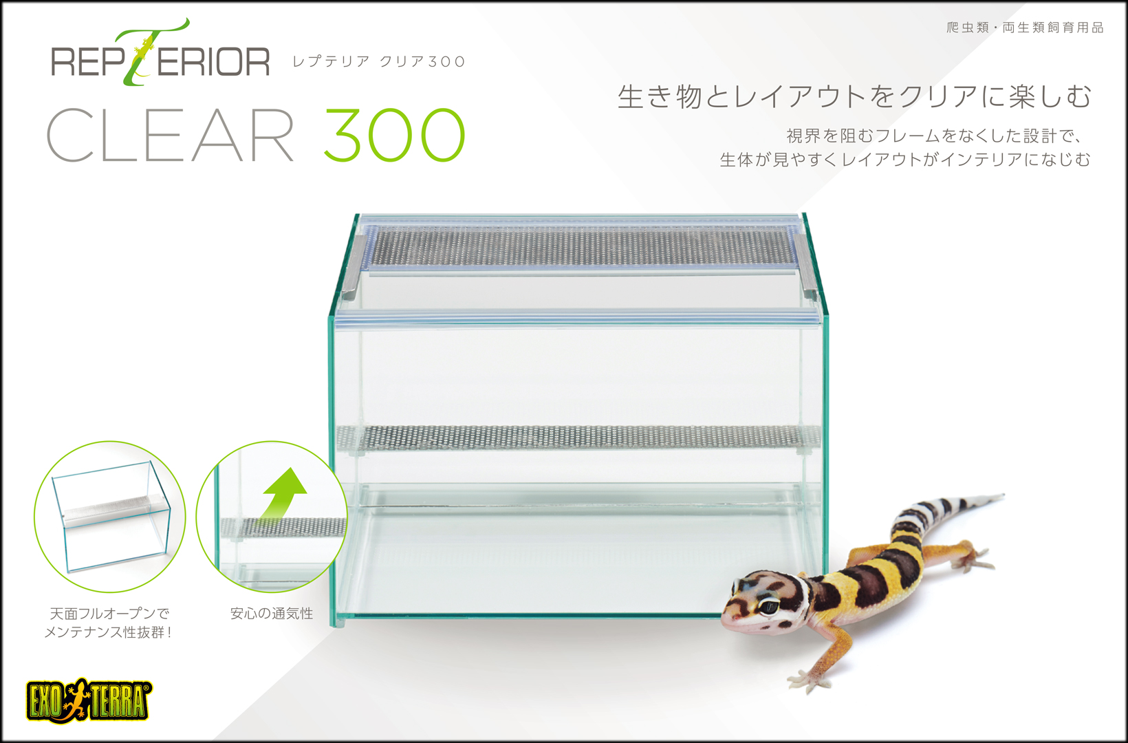 レプテリアクリア300　エキゾテラ