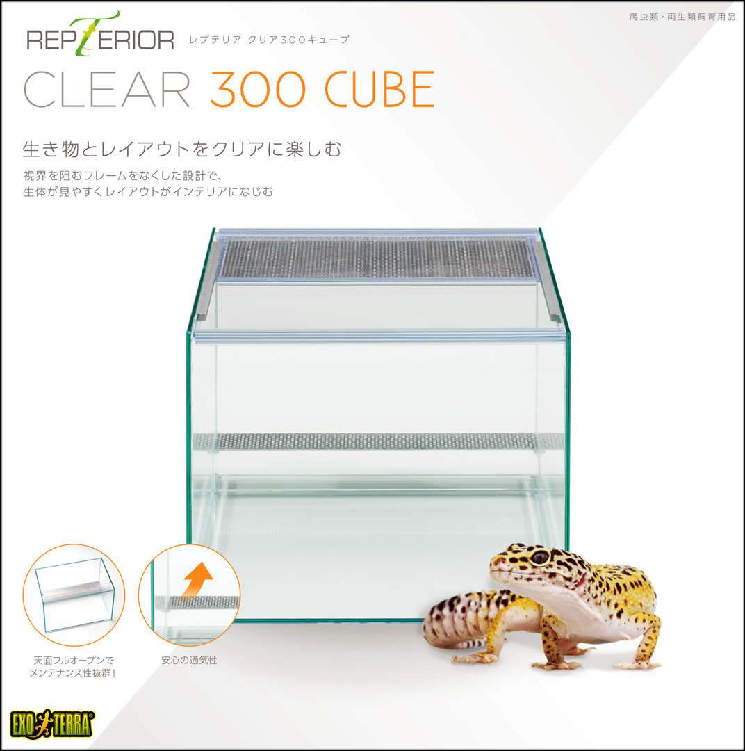 レプテリアクリア300キューブ　エキゾテラ