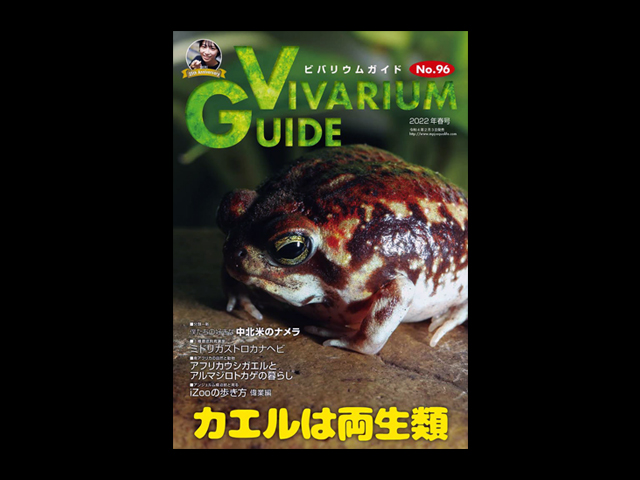 ビバリウムガイド(Vivarium Guide) エムピージェー(MPJ) 販売 通販