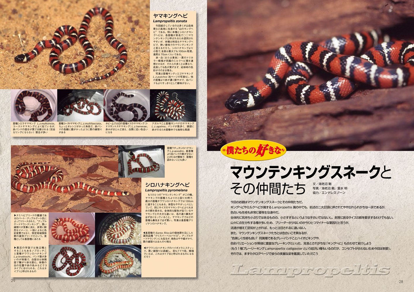 ビバガ 63号 アクアライフ11月号増刊