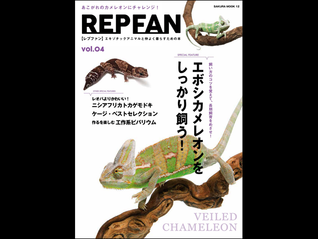 レプファン エボシカメレオンをしっかり飼う