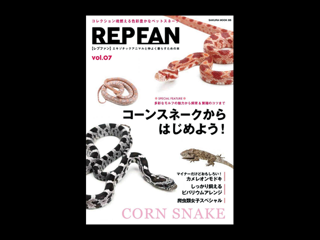 レプファン(REP FAN) 笠倉出版社 販売 通販