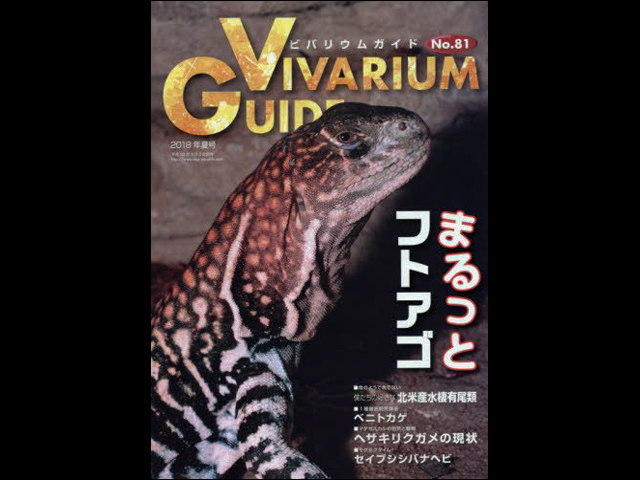 ビバリウムガイド 年夏号 まるっとフトアゴ