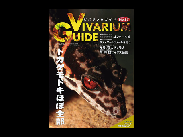ビバリウムガイド(Vivarium Guide) エムピージェー(MPJ) 販売 通販