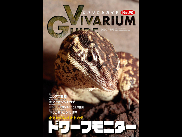 ビバリウムガイドNo.90 2020年秋号 小さいのにオオトカゲ ドワーフモニター