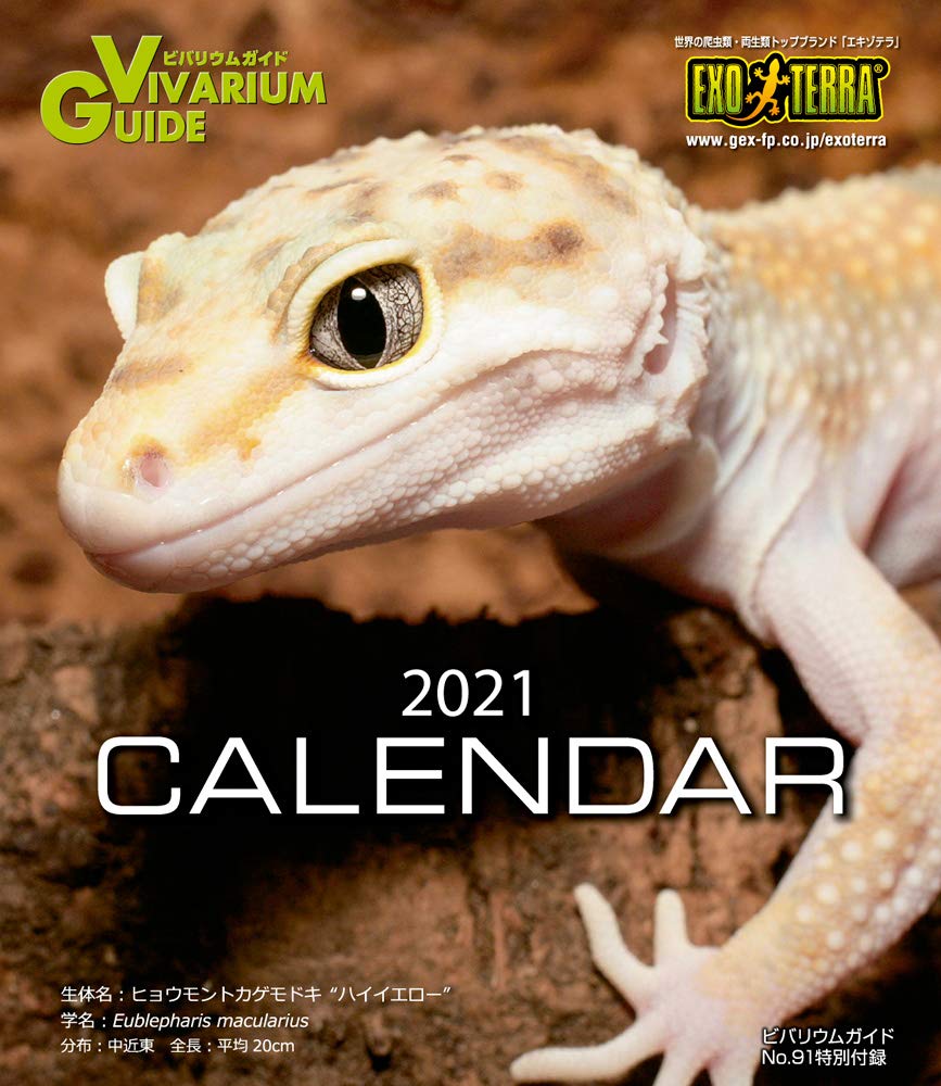 ビバリウムガイド No.91 2020年冬号　付属カレンダー