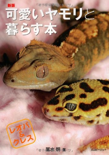 新版可愛いヤモリと暮らす本