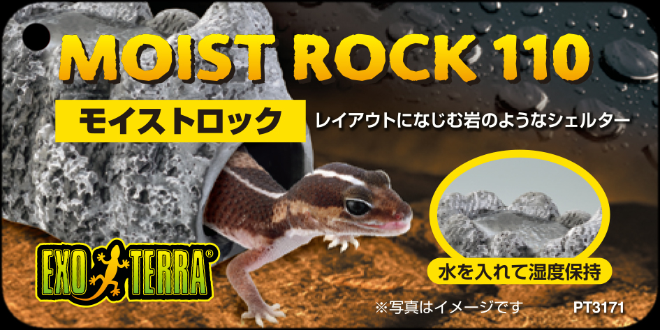 モイストロック EXOTERRA