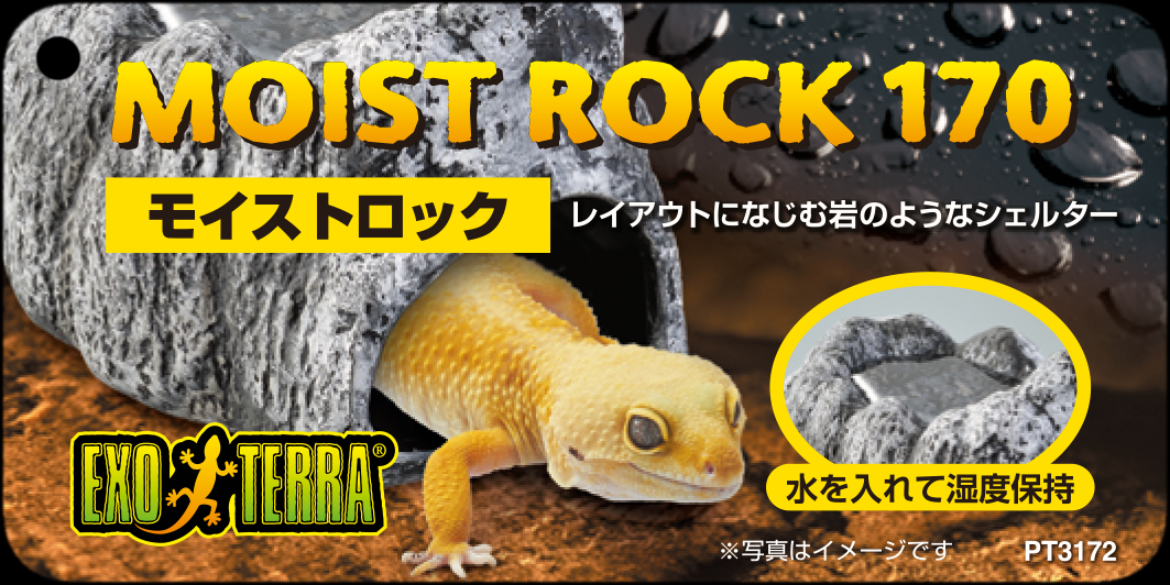 モイストロック170　EXOTERRA