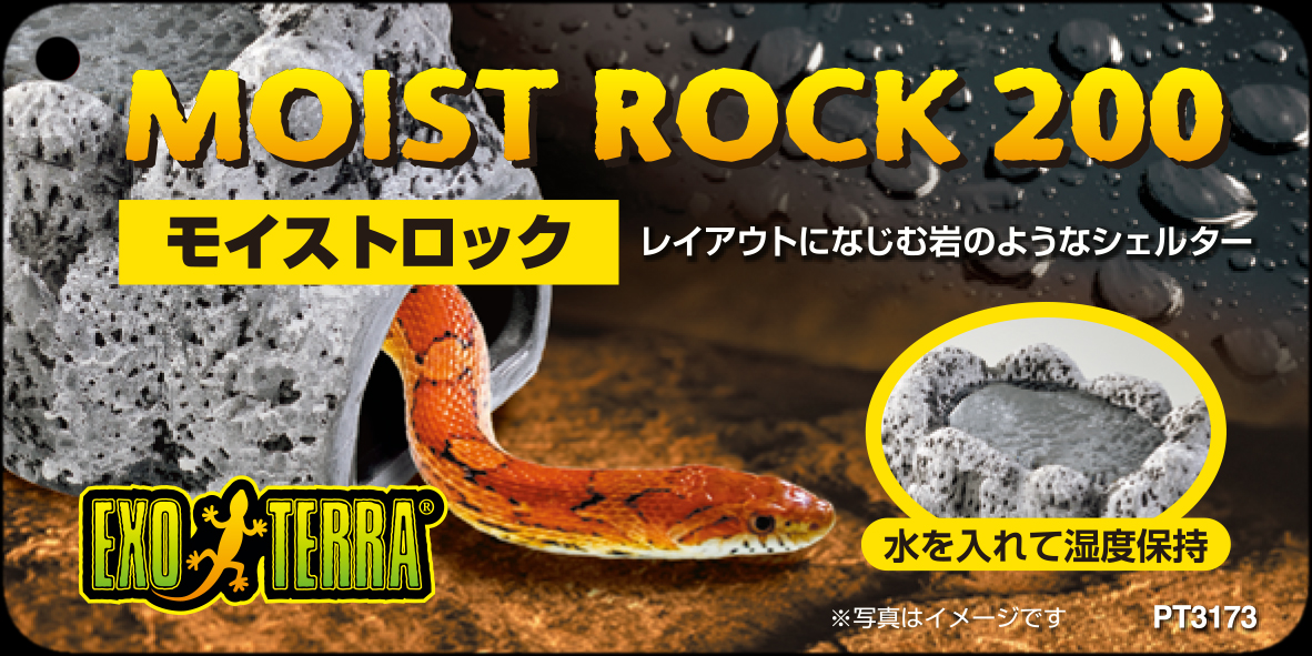 モイストロック200　EXOTERRA