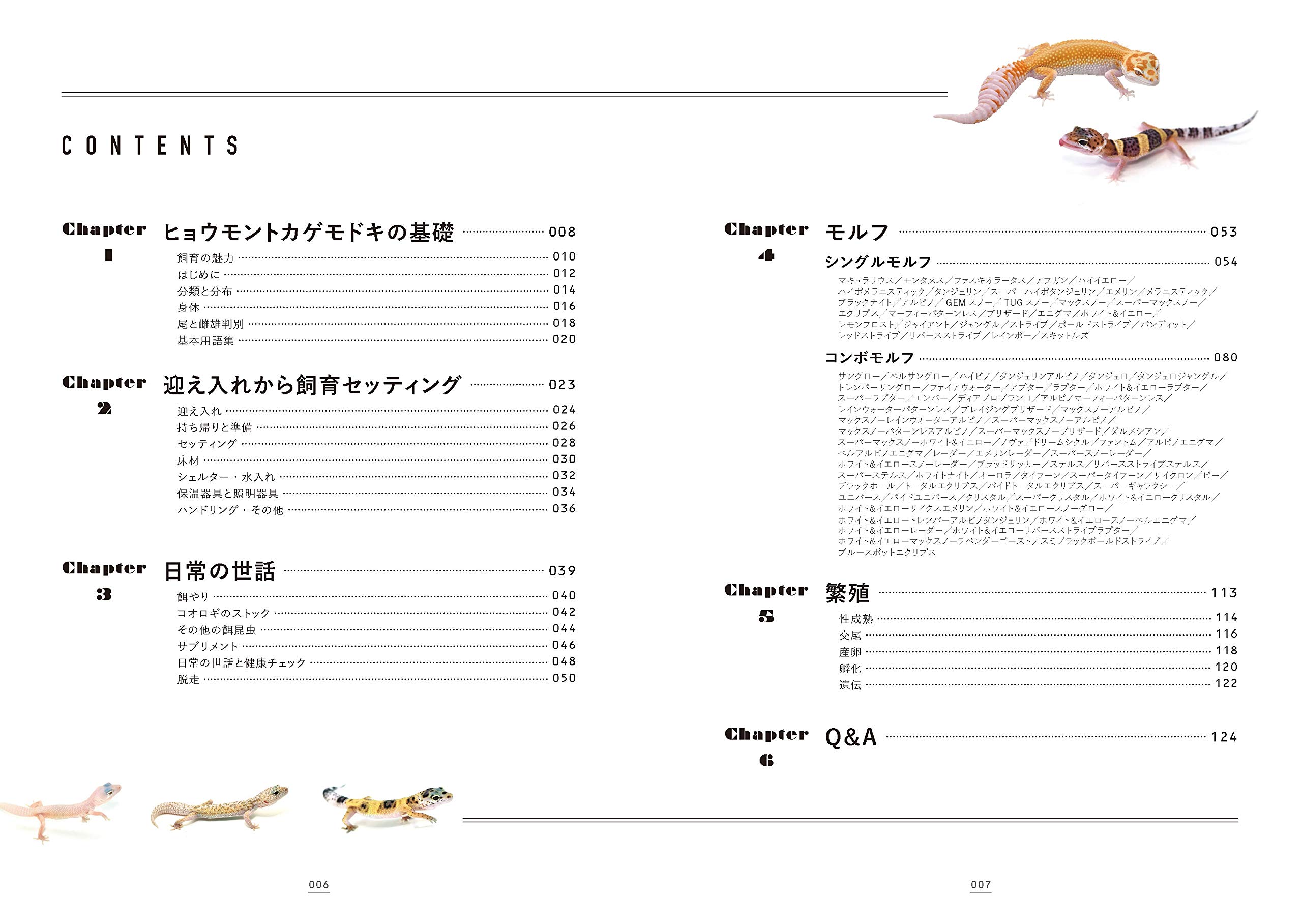 笠倉出版 レオパの教科書