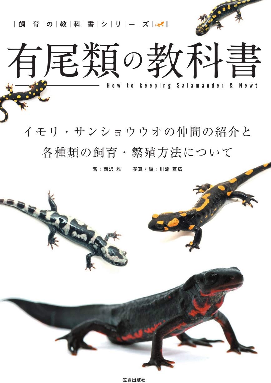 有尾類の教科書 基礎知識から飼育・繁殖と多彩な品種紹介