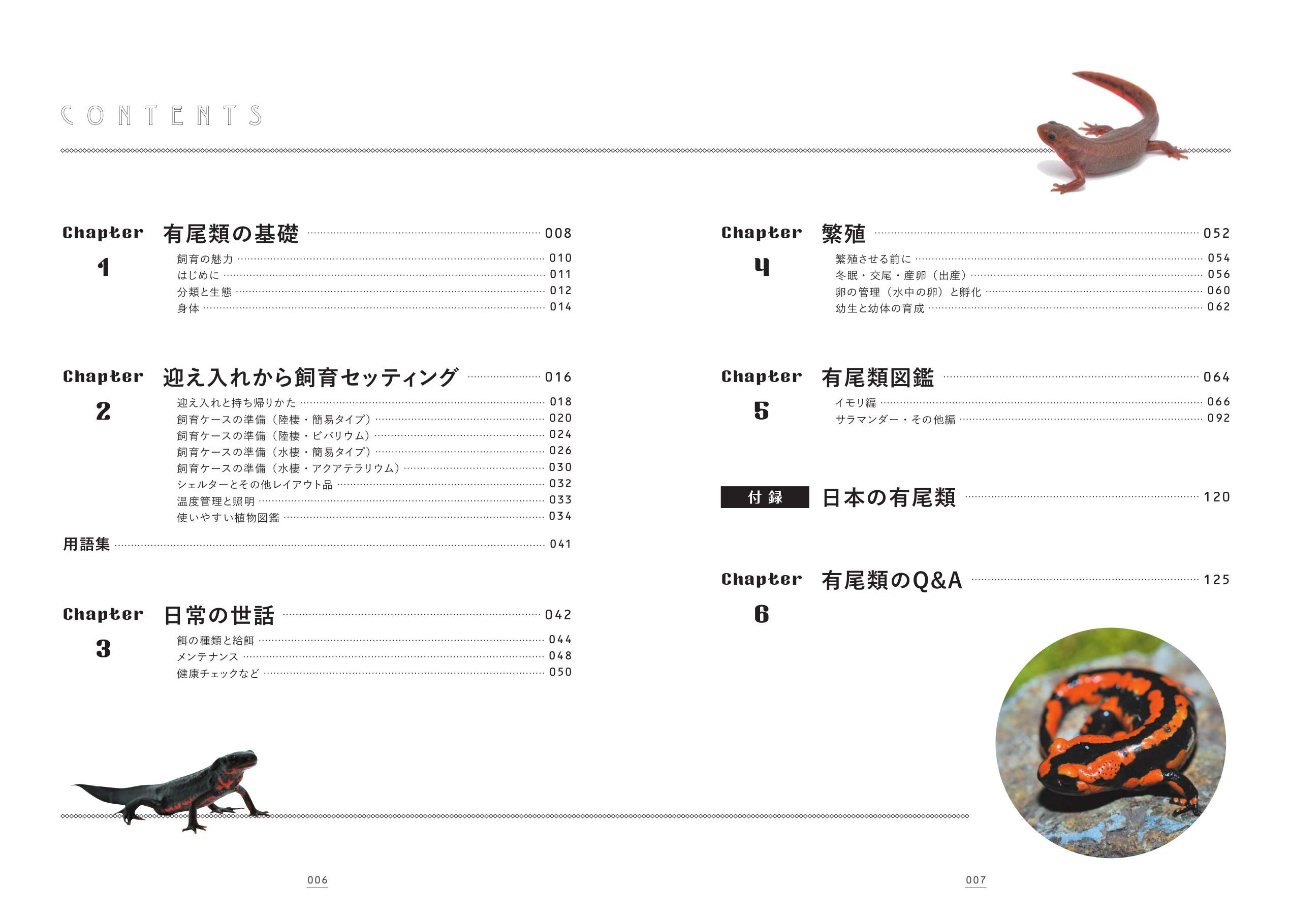 有尾類の教科書　コンテンツ