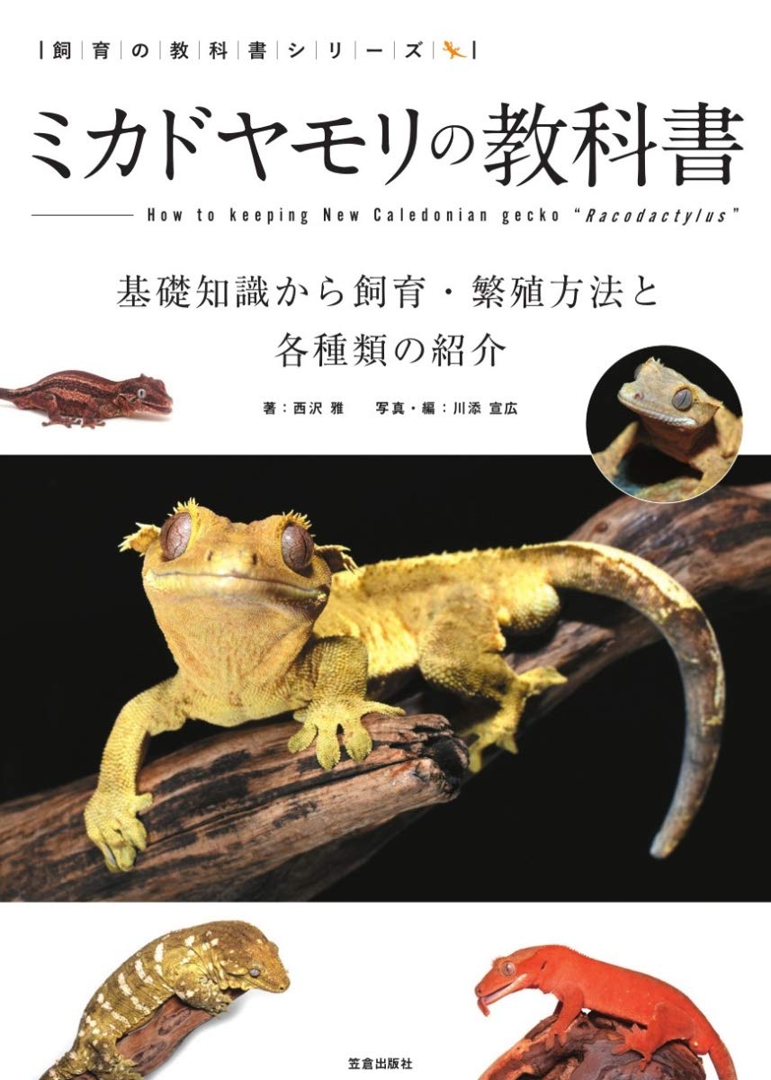 ミカドヤモリの教科書 基礎知識から飼育・繁殖と多彩な品種紹介