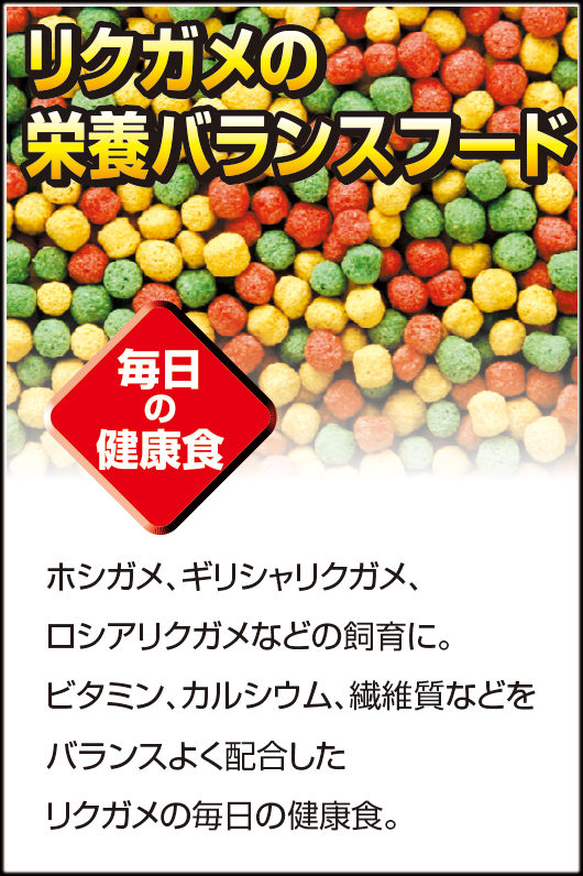 リクガメの栄養バランスフード　エキゾテラ　ジェックス