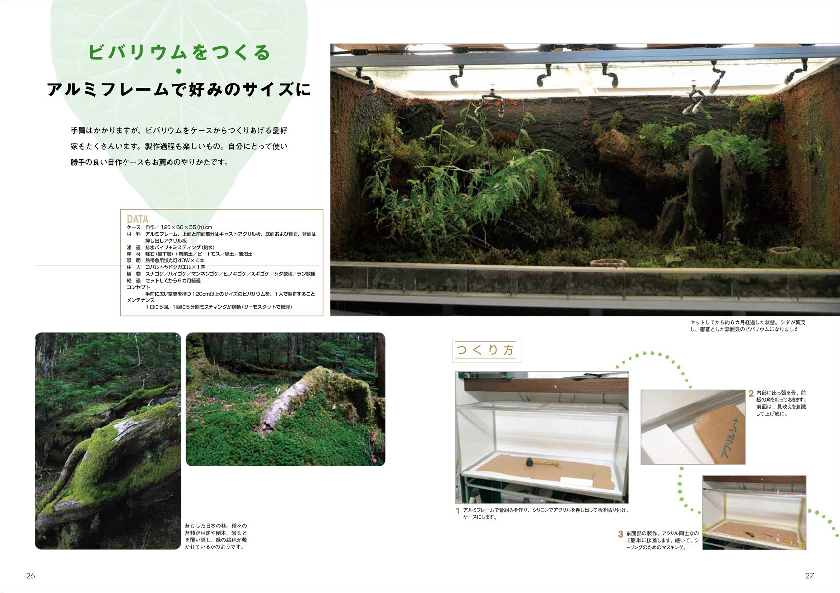 爬虫類　両生類　飼い方