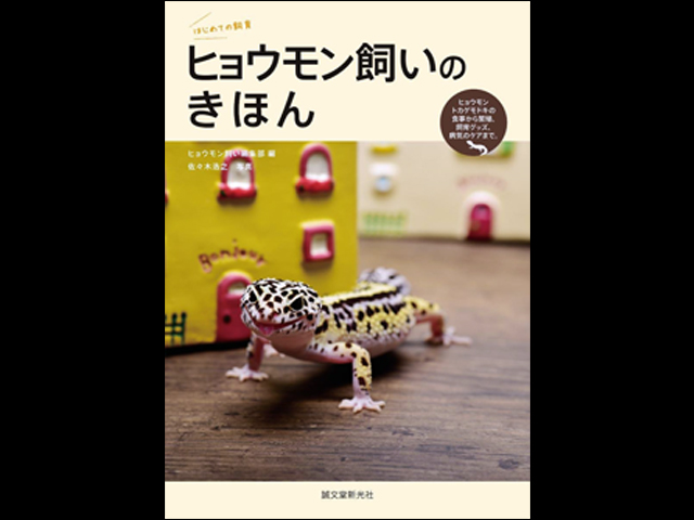 はじめての飼育 ヒョウモン飼いのきほん