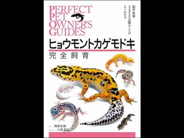 ヒョウモントカゲモドキ完全飼育