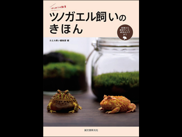 はじめての飼育 ツノガエル飼いのきほん