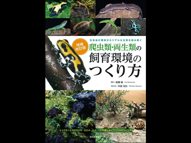 爬虫類・両生類の飼育環境のつくり方