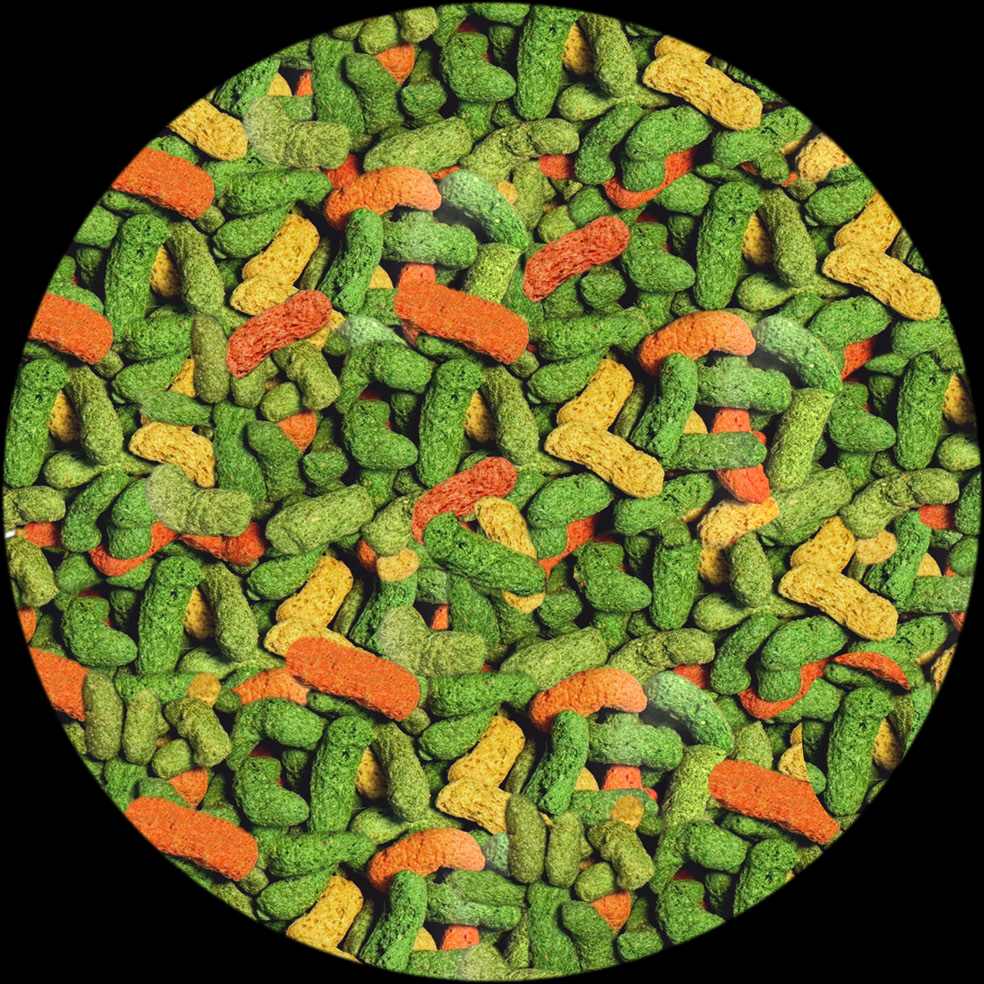 レップカル成体フトアゴヒゲトカゲフード　中身