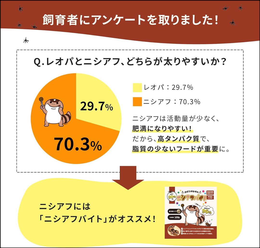 ニシアフバイト　アンケート
