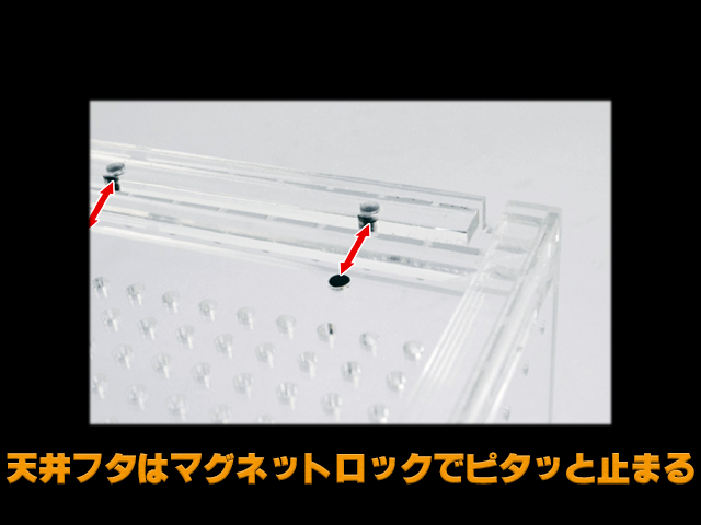 レプタイルボックスワイド　レプティワイルド　マグネット