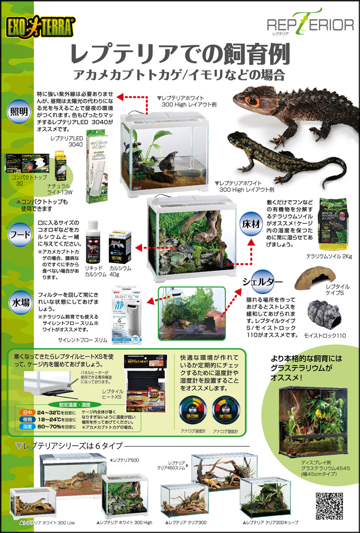 EXOTERRA　レプテリア　アカメカブトトカゲ／イモリの飼育例