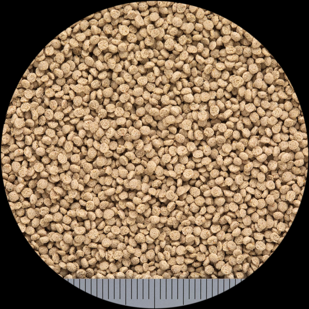 カルガット200g　粒の大きさ