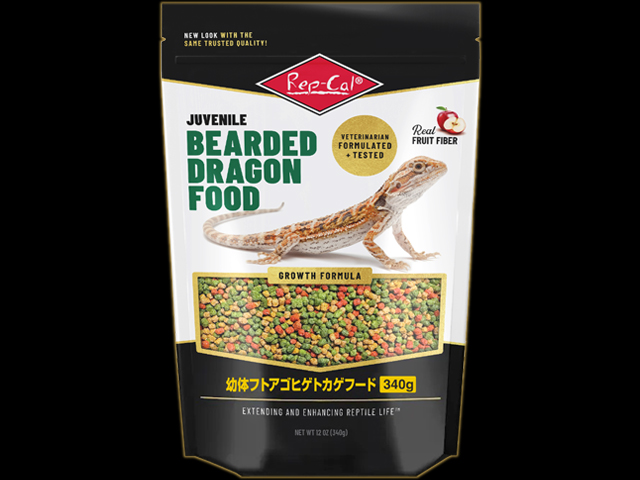 幼体フトアゴヒゲトカゲフード340g