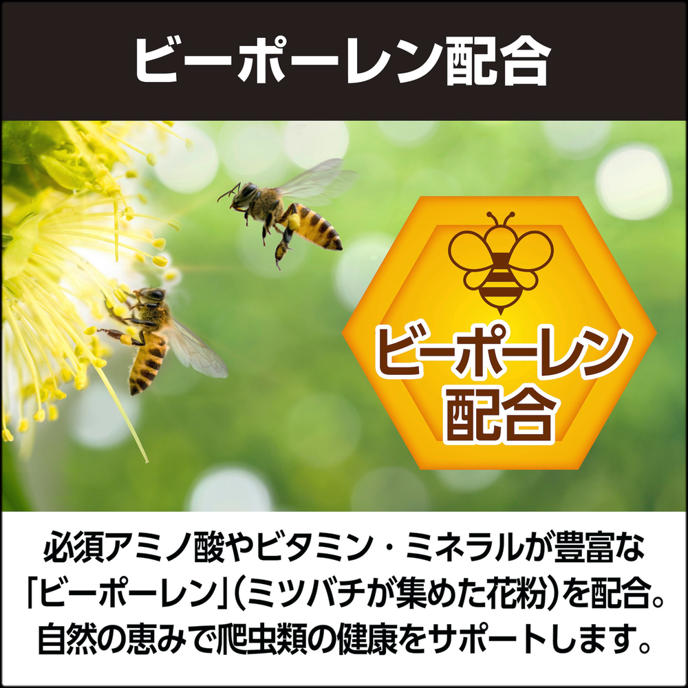 フルーツ＆バグペーストりんご＆パイン　ビーポーレン