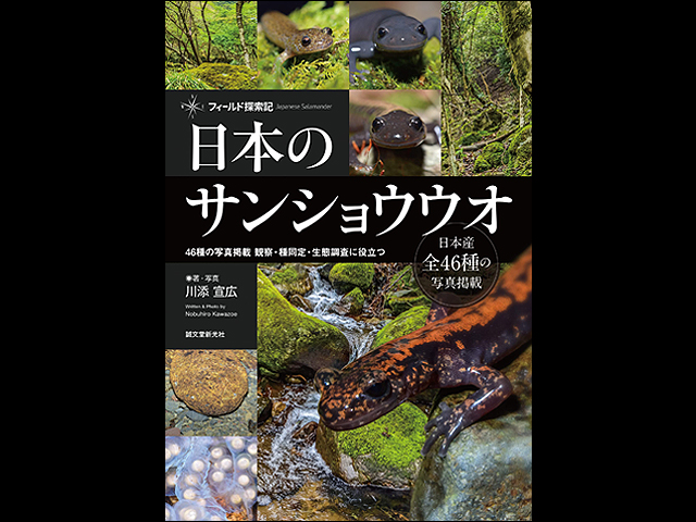 日本のサンショウウオ46種の写真掲載 観察・種同定・生態調査に役立つ