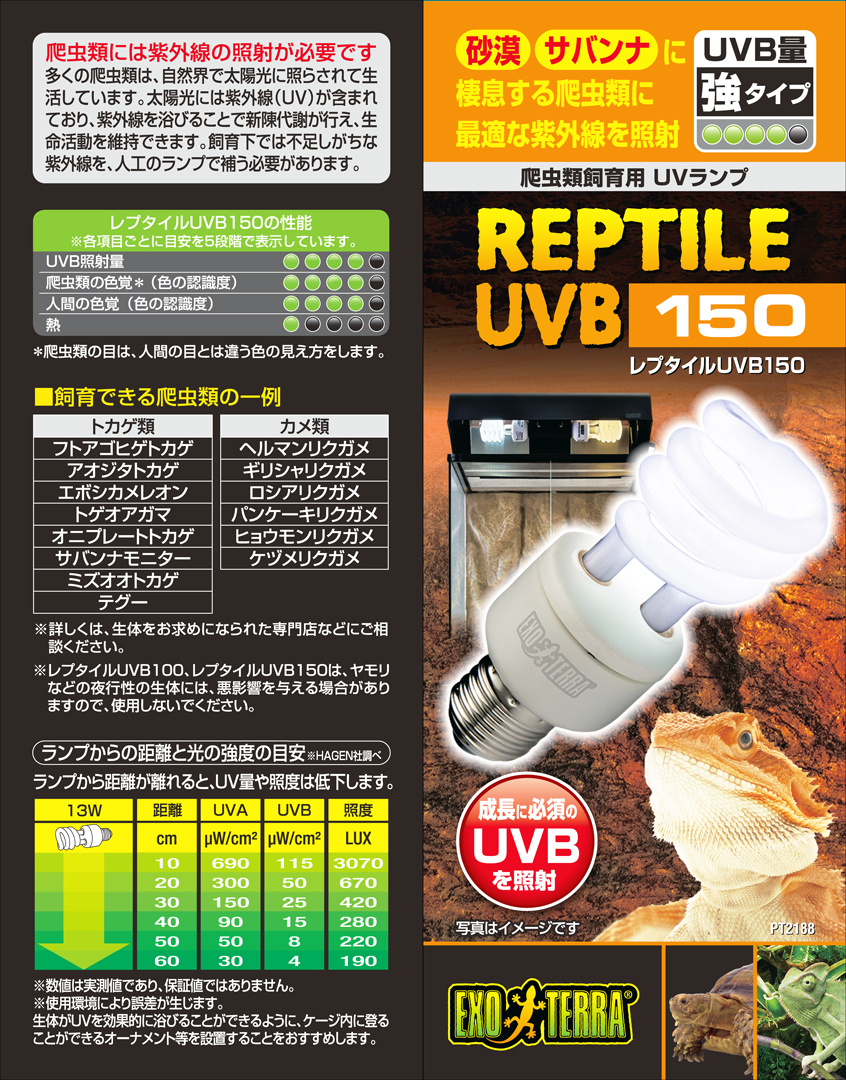 レプタイルUVB150 13W　EXOTERRA