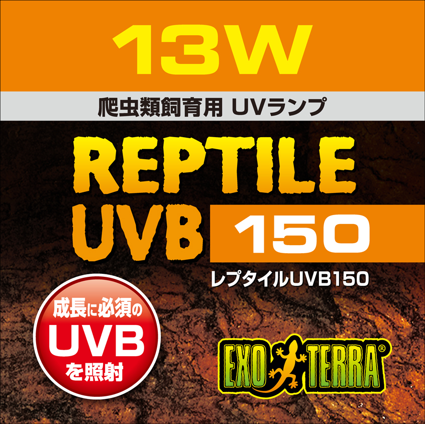 レプタイルUVB150 13W　ジェックス