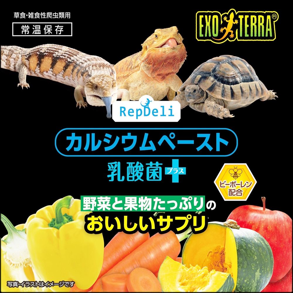 カルシウムペースト乳酸菌プラス　野菜と果汁たっぷりのおいしいサプリ