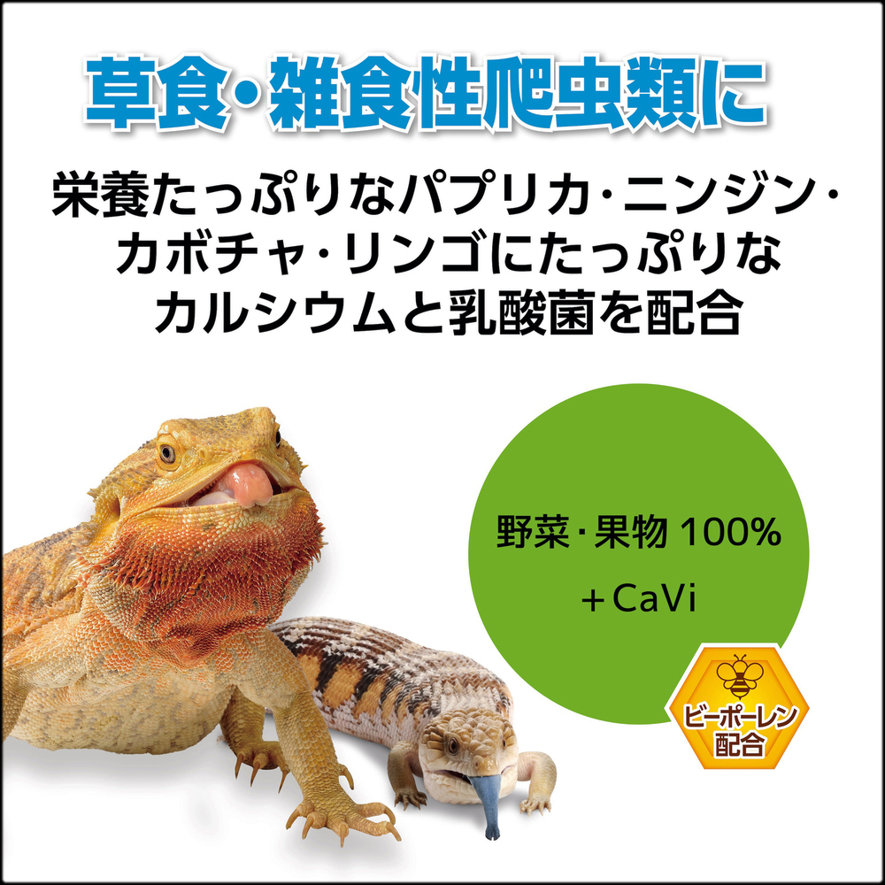 カルシウムペースト乳酸菌プラス　草食・雑食性爬虫類に