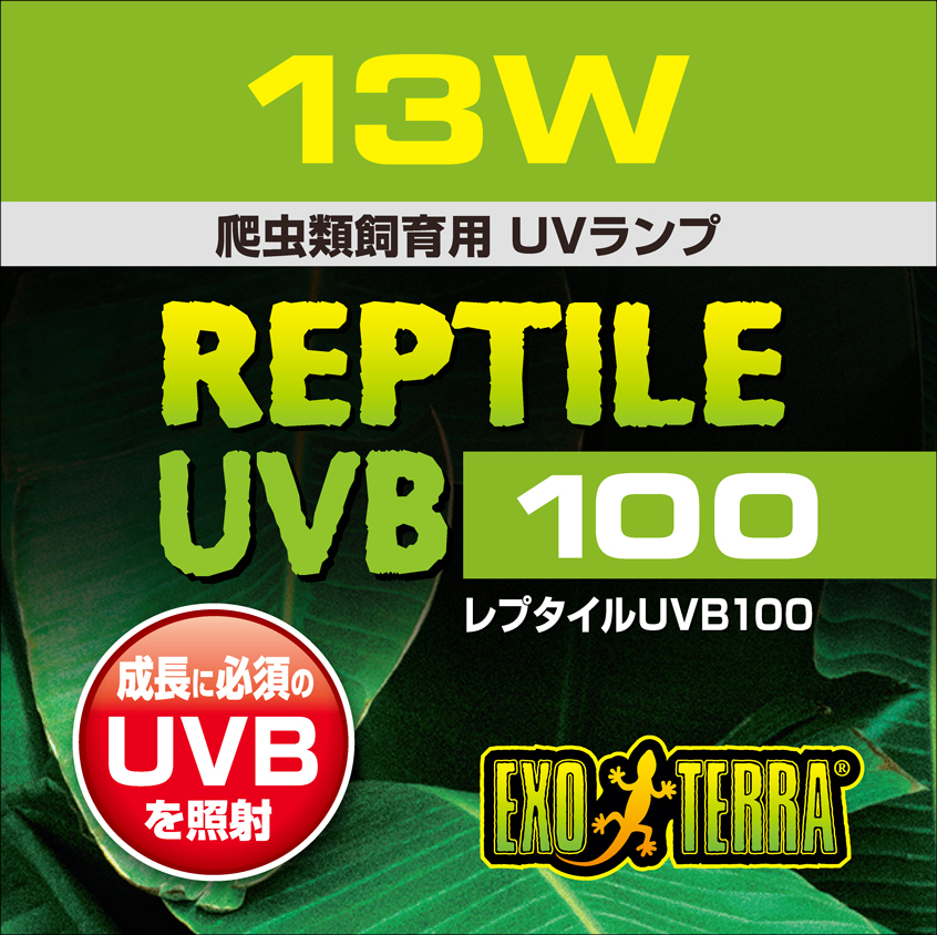 レプタイルUVB100 13W　ジェックス