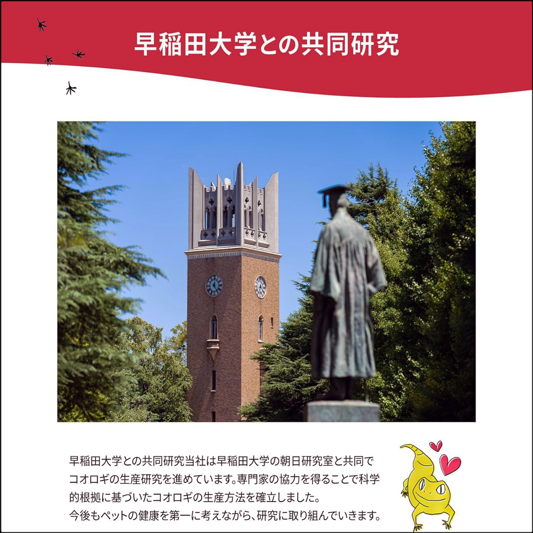ヤモリバイト40g　早稲田大学との共同研究