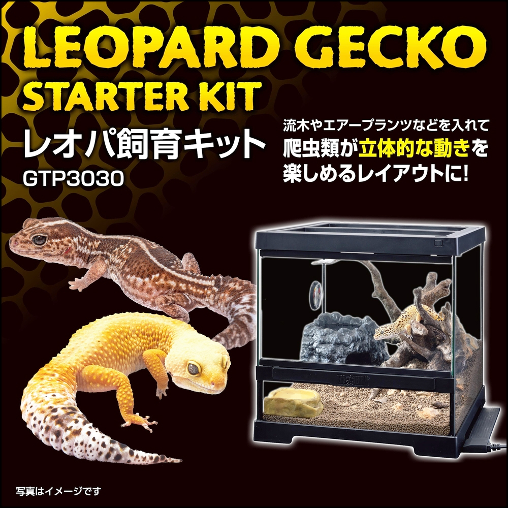 レオパ飼育キットGTP3030　EXOTERRA