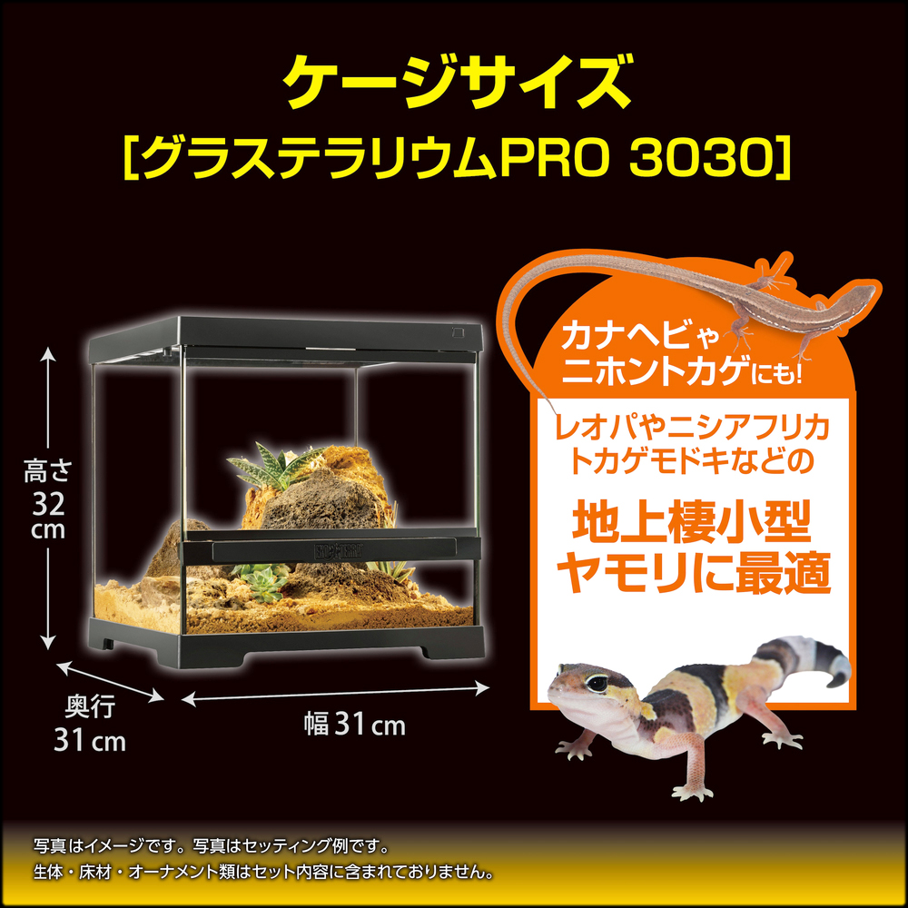 レオパ飼育キットGTP3030　地上棲小型ヤモリに最適