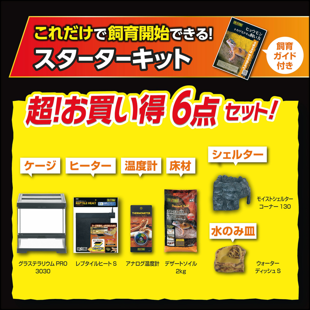 レオパ飼育キットGTP3030　お買い得6点セット