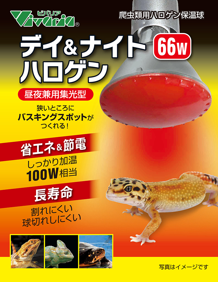 デイ&ナイトハロゲン66W　パッケージ